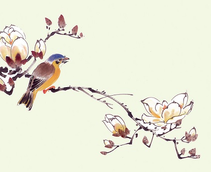 数声鶗鴂,又报芳菲歇。全诗词意思及赏析-古诗迷