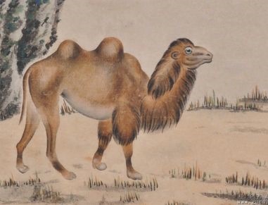 《杀驼破瓮》文言文原文注释翻译-古诗迷