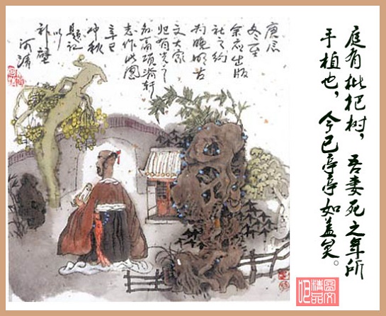 《项脊轩志》归有光文言文原文注释翻译-古诗迷