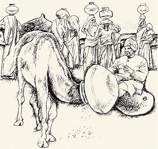 《杀骆驼破瓮》文言文原文注释翻译-古诗迷