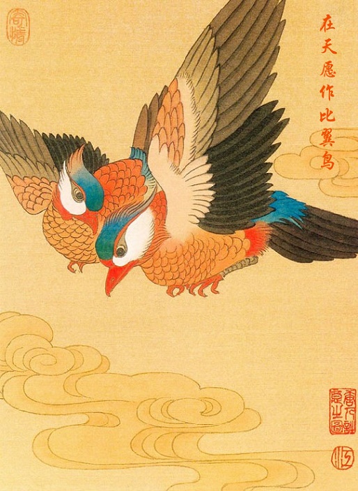 在天愿作比翼鸟，在地愿为连理枝。全诗意思及赏析-古诗迷
