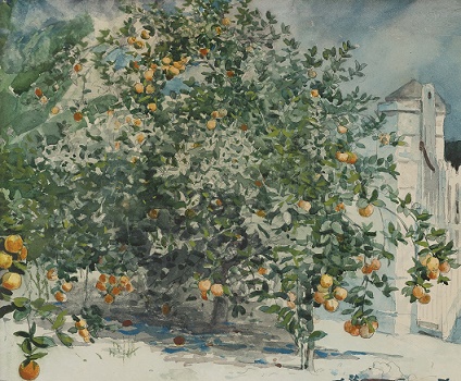 岂伊地气暖？自有岁寒心。全诗意思及赏析-古诗迷