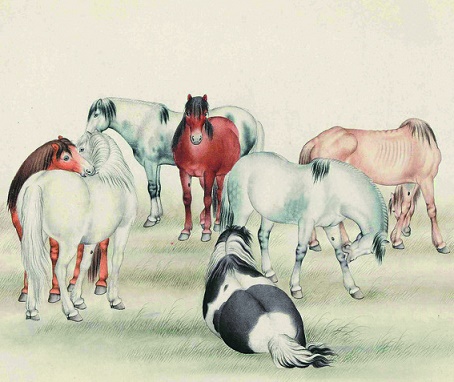 其余七匹亦殊绝,迥若寒空动烟雪。全诗意思及赏析-古诗迷