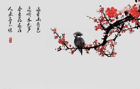 春去花还在，人来鸟不惊。全诗意思及赏析-古诗迷