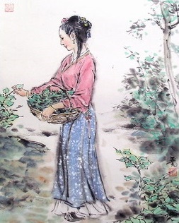 蚕饥妾欲去,五马莫留连。全诗意思及赏析-古诗迷