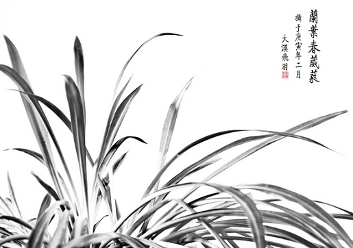 草木有本心，何求美人折！全诗意思及赏析-古诗迷