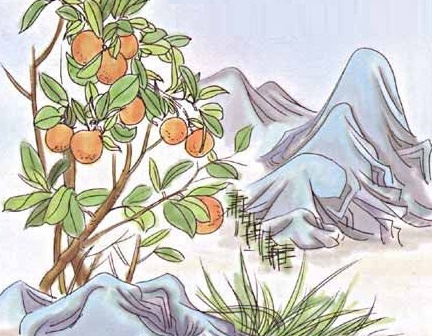 运命惟所遇，循环不可寻。全诗意思及赏析-古诗迷