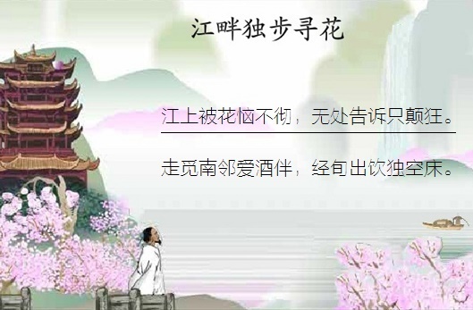 江上被花恼不彻,无处告诉只颠狂。全诗意思及赏析-古诗迷