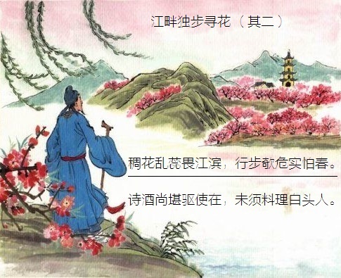 稠花乱蕊畏江滨，行步欹危实怕春。全诗意思及赏析-古诗迷
