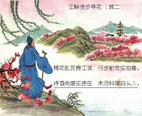 诗酒尚堪驱使在,未须料理白头人。全诗意思及赏析-古诗迷