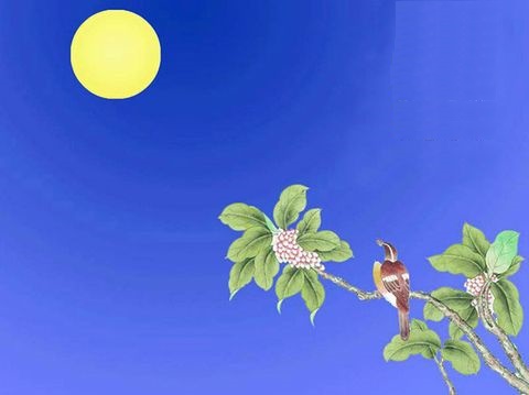 玉颗珊珊下月轮，殿前拾得露华新。全诗意思及赏析-古诗迷