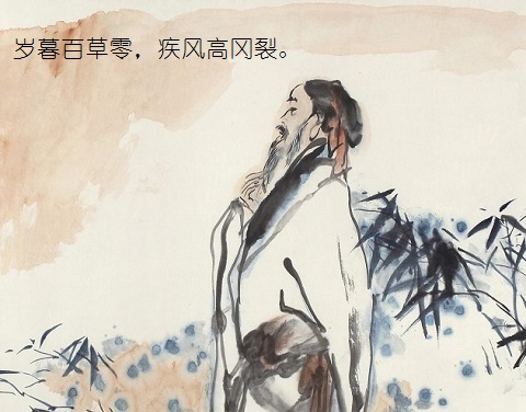 岁暮百草零,疾风高冈裂。全诗意思及赏析-古诗迷