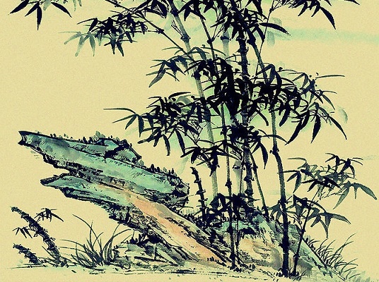 冉冉孤生竹，结根泰山阿。全诗意思及赏析-古诗迷