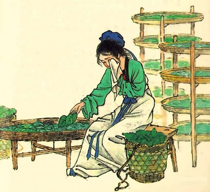 昨日入城市，归来泪满巾。全诗意思及赏析-古诗迷