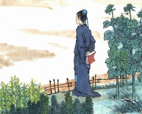 青青园中葵,朝露待日晞。全诗意思及赏析-古诗迷