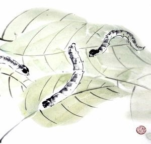 春蚕不应老，昼夜常怀丝。全诗意思及赏析-古诗迷