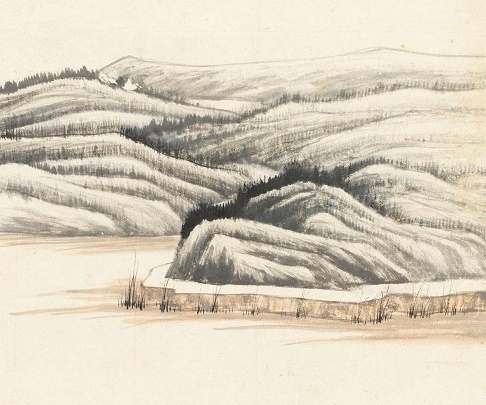 苹藻生其涯，华叶纷扰溺。全诗意思及赏析-古诗迷