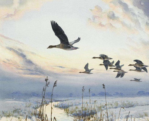 两两归鸿欲破群,依依还似北归人。全诗意思及赏析-古诗迷