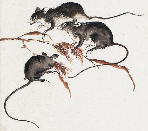 硕鼠硕鼠，无食我黍！三岁贯女，莫我肯顾。全诗意思及赏析-古诗迷