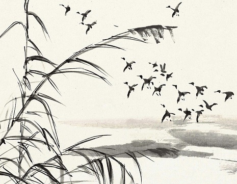 离家日趋远，衣带日趋缓。全诗意思及赏析-古诗迷