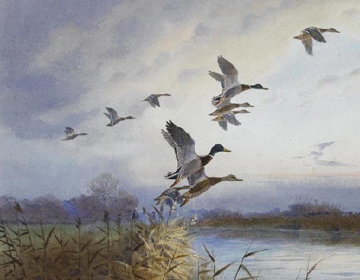 遥知朔漠多风雪，更待江南半月春。全诗意思及赏析-古诗迷