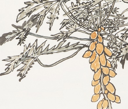 投我以木桃,报之以琼瑶。匪报也,永以为好也!全诗意思及赏析-古诗迷