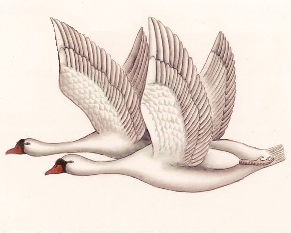 愿为双鸿鹄，奋翅起高飞。全诗意思及赏析-古诗迷