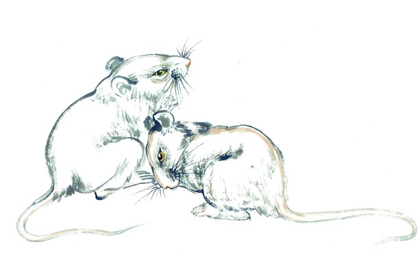 硕鼠硕鼠，无食我苗！三岁贯女，莫我肯劳。全诗意思及赏析-古诗迷