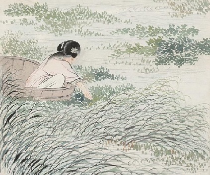 岸蓼疏红水荇青,茨菰花白小如萍。全诗意思及赏析-古诗迷