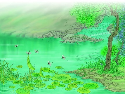 小荷才露尖尖角,早有蜻蜓立上头。全诗意思及赏析-古诗迷