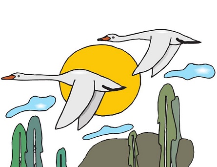 白鹭忽飞来，点破秧针绿。全诗意思及赏析-古诗迷