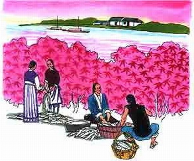 好是日斜风定后，半江红树卖鲈鱼。全诗意思及赏析-古诗迷