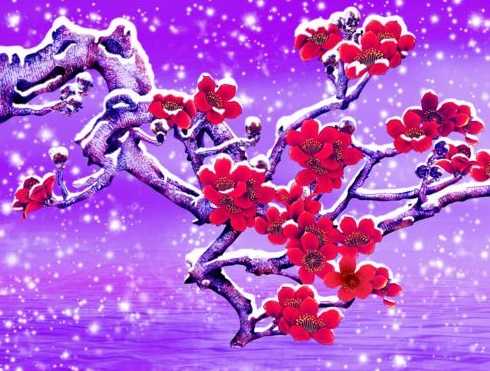 香中别有韵，清极不知寒。全诗意思及赏析-古诗迷